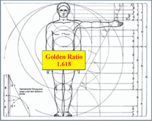 golden_ratio_human