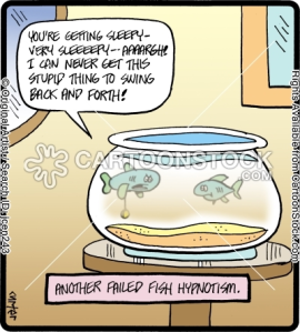 animals-water-physicist-fish_bowl-fish_tank-fish-jcen243l.jpg