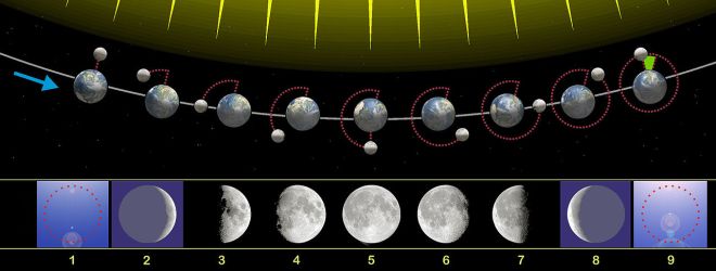 1280px-Moon_phases_00